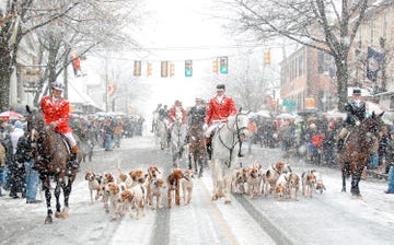 snowy scene of man on horseback parading with hunting dogs down the street in middleburg virginia