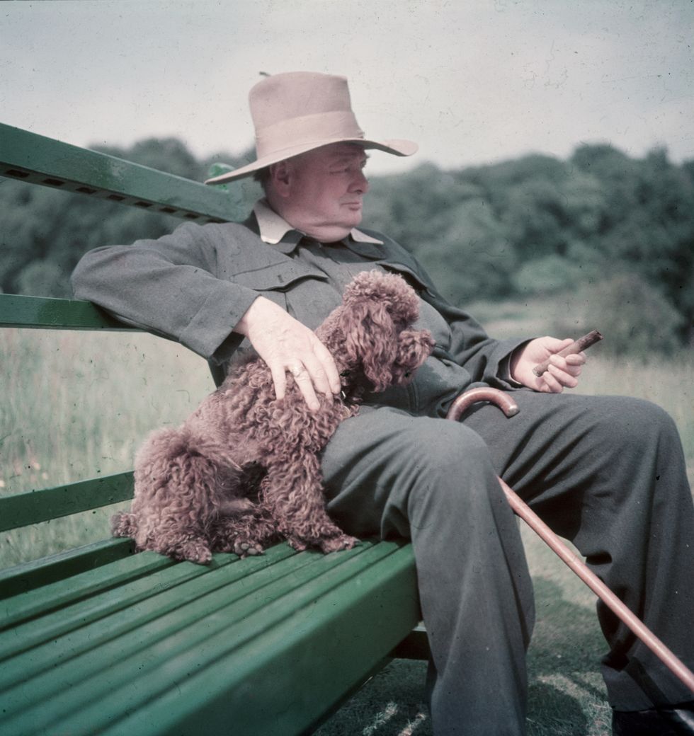Winston Churchill with his poodle, Rufus