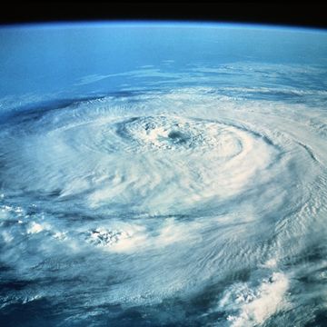 Hurricane Elena in the Gulf of Mexico