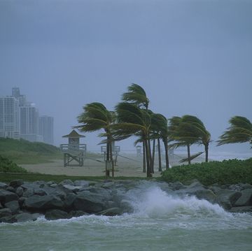 hurricane along coastline