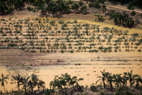 Ondergelopen plantages in Quebradillas