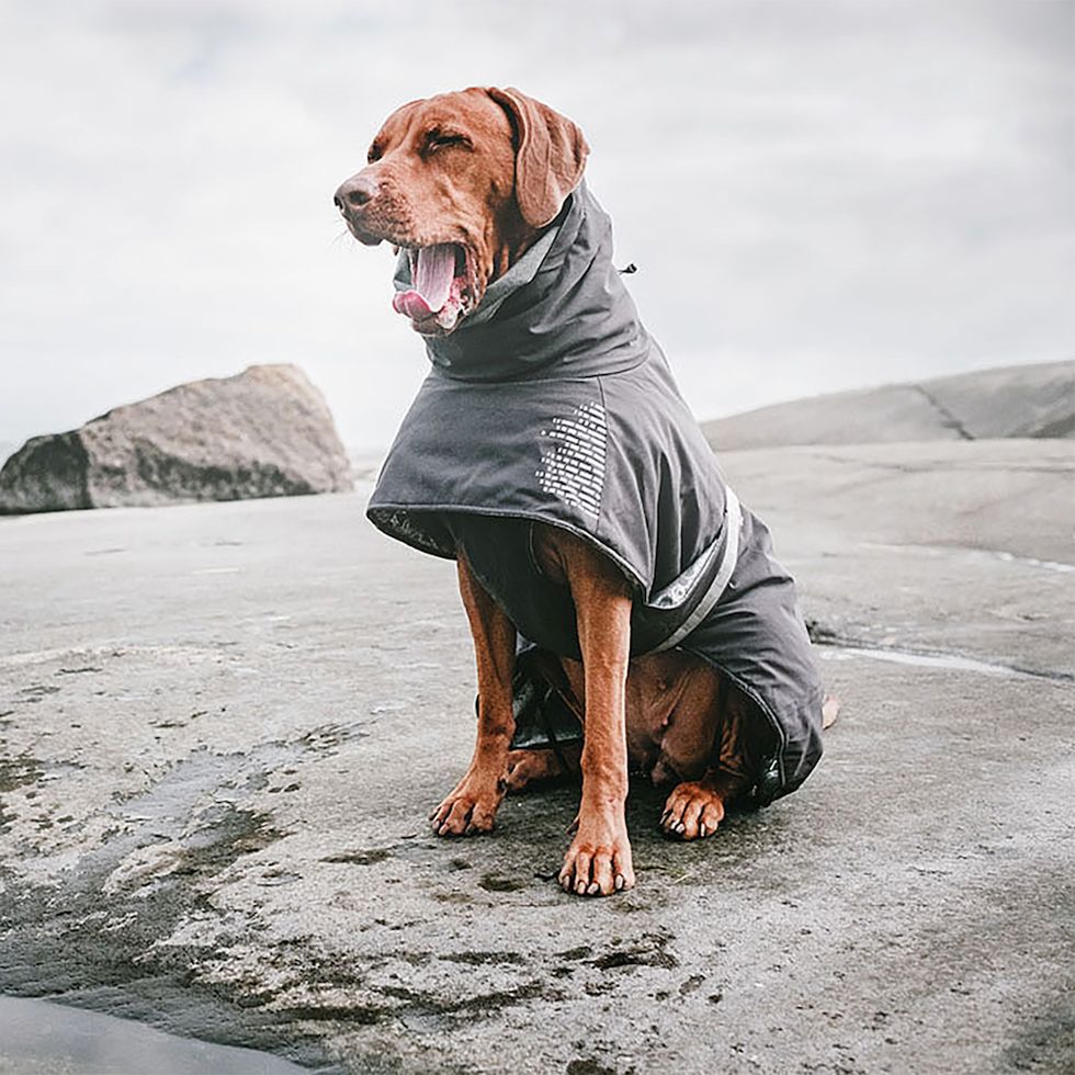 Hurtta Extreme Warmer Dog Coat photo