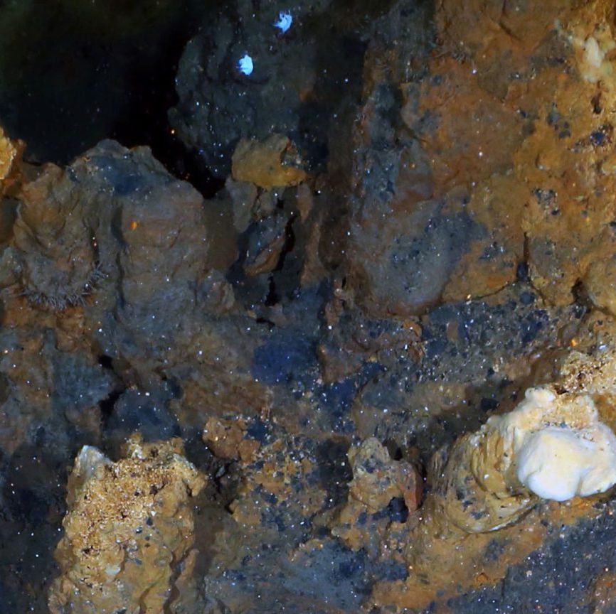 This Arctic Hydrothermal Vent Could Explain How Life Starts—Both Here and in Space