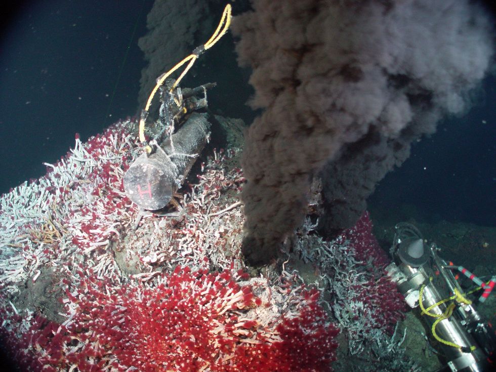 In de buurt van hydrothermale schoorstenen als deze kunnen zich reservoirs van vloeibare CO2 bevinden De CO2 wordt afgedekt door lagen van ijzige hydraten Als die afdeklagen smelten zou de CO2 in het zeewater en uiteindelijk in de atmosfeer kunnen vrijkomen