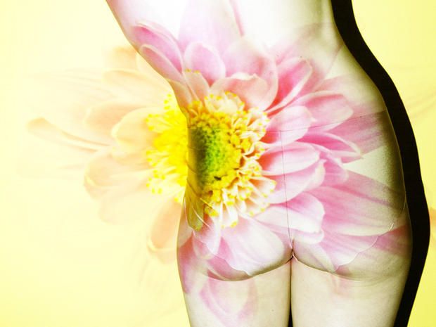 Petal, Yellow, Flower, Pink, Flowering plant, Close-up, Photography, Wildflower, Pollen, Cut flowers, 