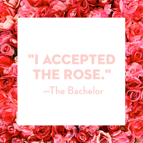 valentines instagram quotes  i accepted the rose