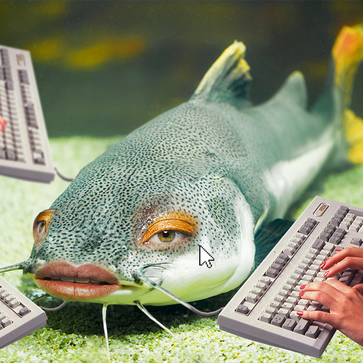 catfish on ocean floor surrounded by keyboards