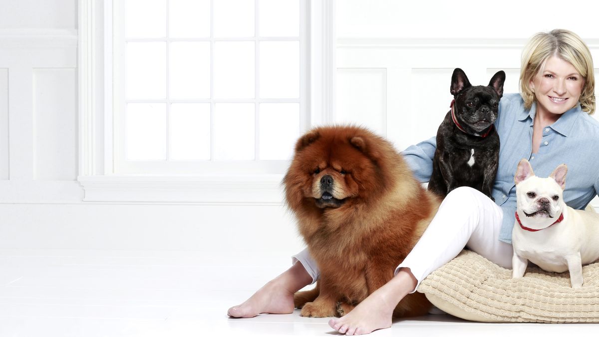 Martha Stewart Adds Dog Treats to Her CBD Line