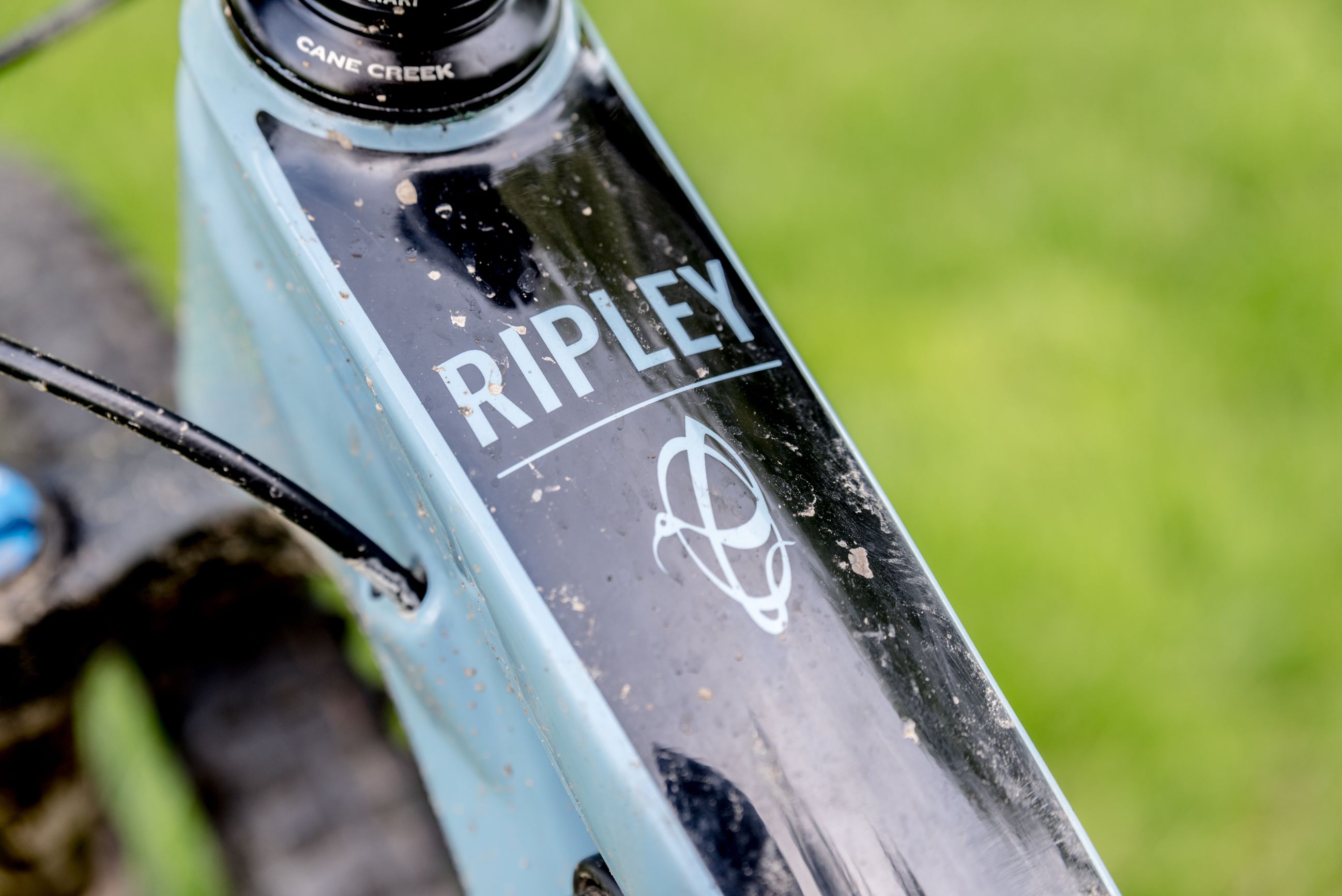 ibis RIPLEY V4カーボンフレーム / Sサイズ Ibis Ripley V4 (2020-2021) Frame - Reviews, Comparisons