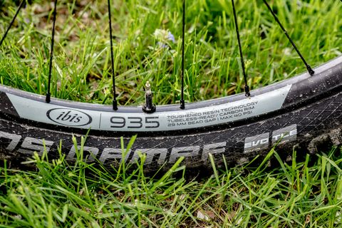Bicycle tire, Bicycle part, Bicycle wheel, Tire, Grass, Spoke, Rim, Wheel, Grass family, Automotive tire, 