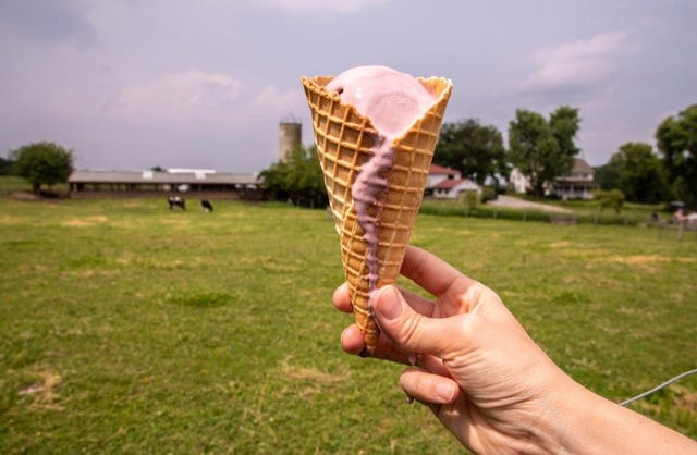 Ice cream cone, Ice cream, Frozen dessert, Dondurma, Soft Serve Ice Creams, Food, Gelato, Wafer, Dessert, Sorbetes, 