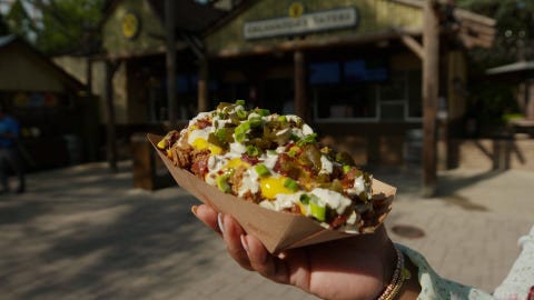 paper boat of loaded french fries