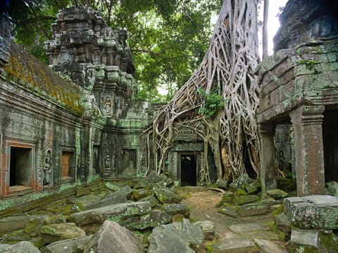 TEMPEL VAN TA PROHM SIEM REAP CAMBODJATerwijl veel Cambodjaanse tempels architectonische meesterwerken zijn biedt de tempel van Ta Prohm in Siem Reap vooral een podium aan de natuur in de vorm van een jungle van Bengaalse ficusbomen of banyans Deze plek ligt in de buurt van het beroemde Angkor Wat en andere heilige monumenten en toont bezoekers de macht die de natuur over de tijd heeft