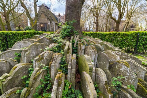 Hardy Tree: London, England HARDY TREE LONDEN ENGELANDDeze sombere boom staat in de buurt van de Londonse St Pancras Old Church en wordt omringd door een groep grafstenen De stenen werden daar geplaatst door een jonge spoorwegbeambte die zou uitgroeien tot de beroemde Britse schrijver Thomas Hardy De Hardy Tree is in vele rondleidingen door Londen als literaire tussenstop opgenomen
