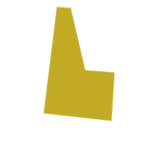 Yellow, Font, Logo, 