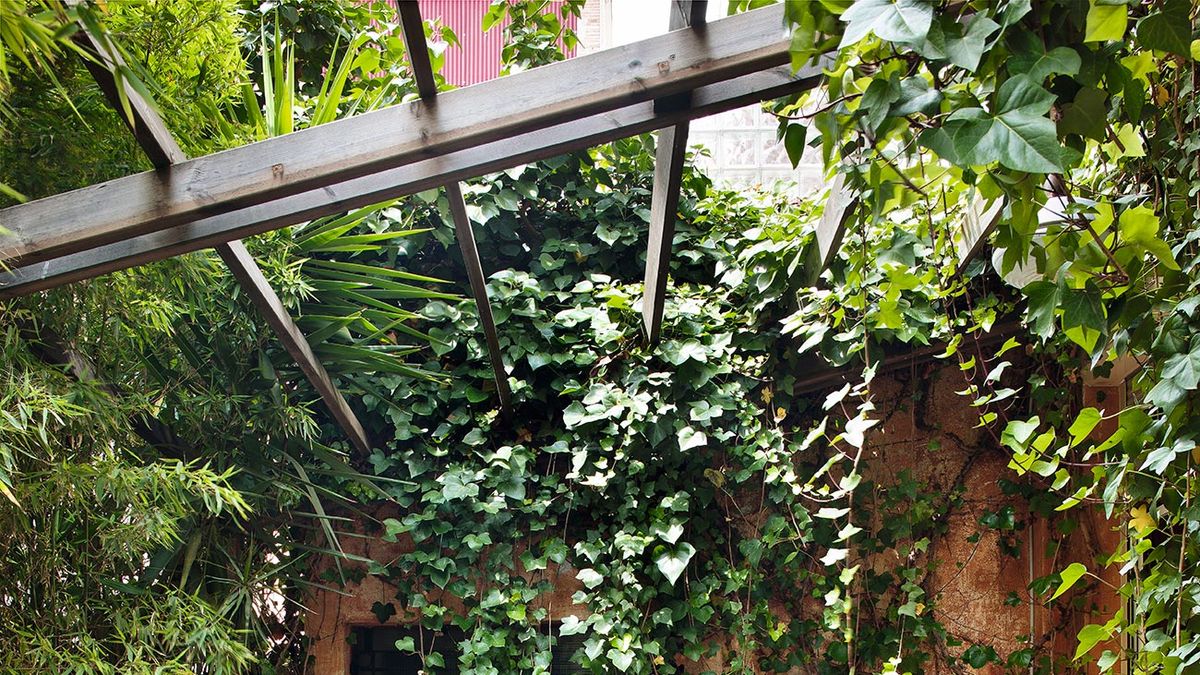 30 ideas de Caseta para el patio  decoración de unas, casas de madera,  casetas de jardin