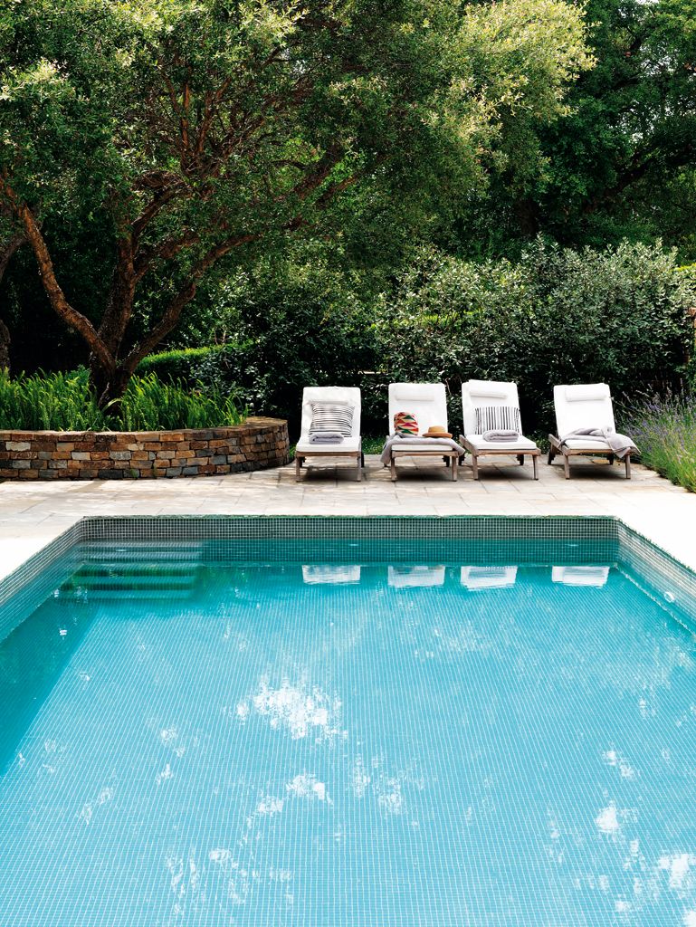 Cascada de piscina relax y decorativa  Piscinas, Diseños de piscina,  Fuente de piscina