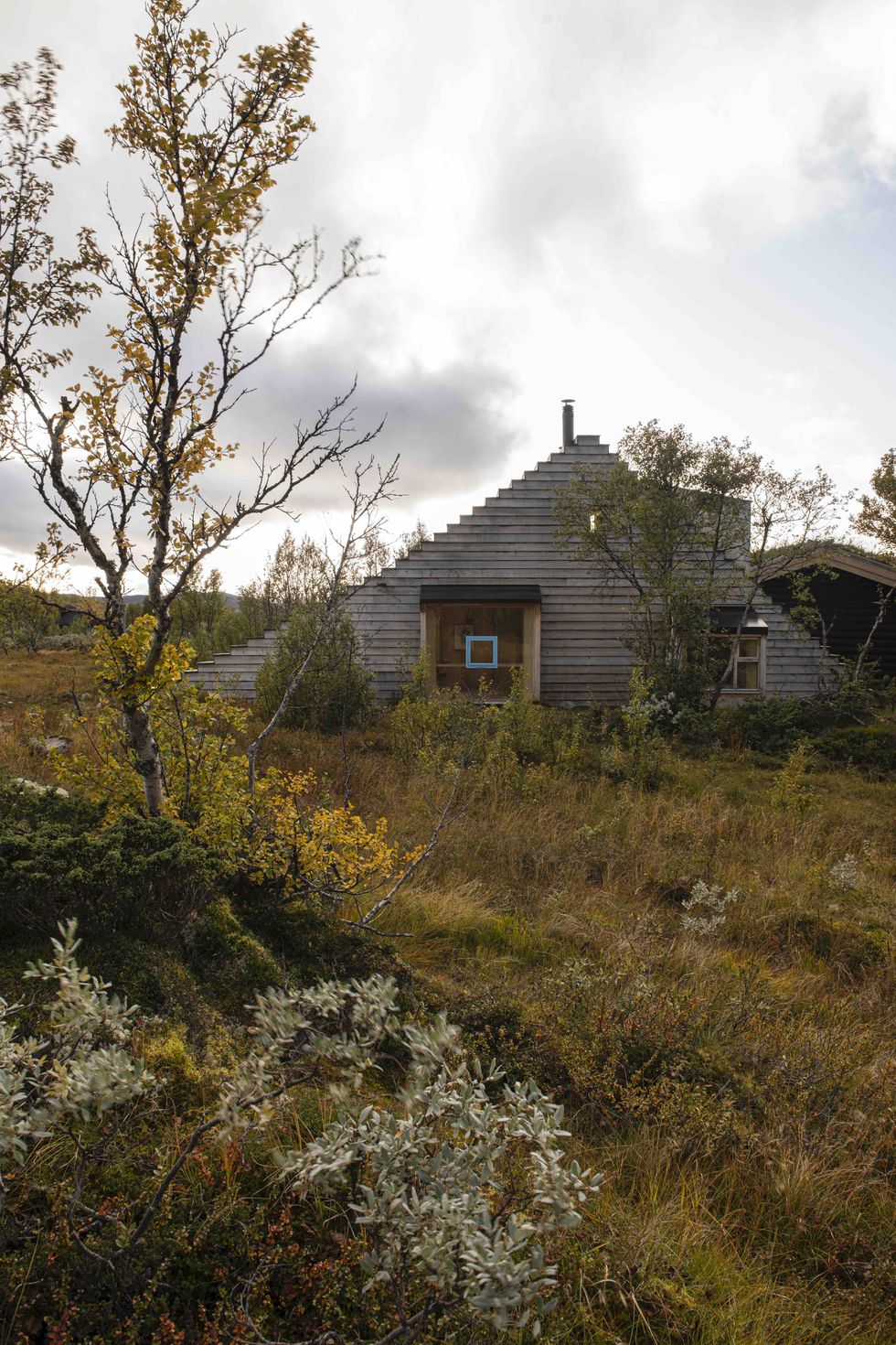 mini case in legno cabin thunder top, by gartnerfuglen arkitekter