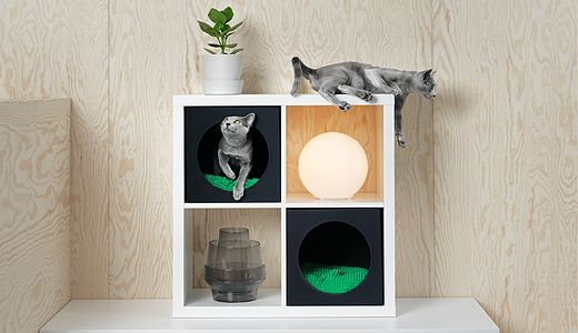 Shelf, Cat furniture, Cat, Russian blue, Shelving, Small to medium-sized cats, Felidae, Domestic short-haired cat, Furniture, Cat supply, 