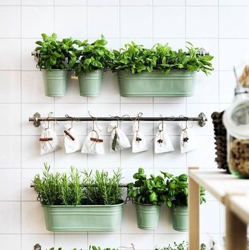 ideas para un huerto de plantas aromaticas en la cocina
