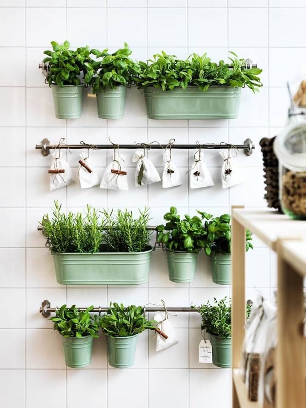 Consejos para comprar el macetero ideal para plantas y decoración