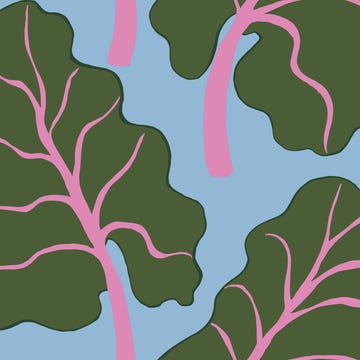 ikea x marimekko bastua collection rhubarb print