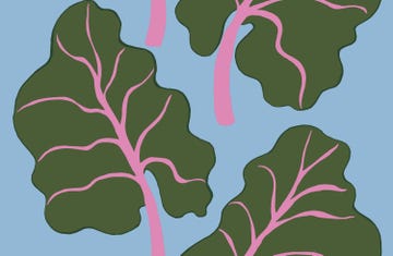 ikea x marimekko colección bastua con patrón estampado de ruibarbo