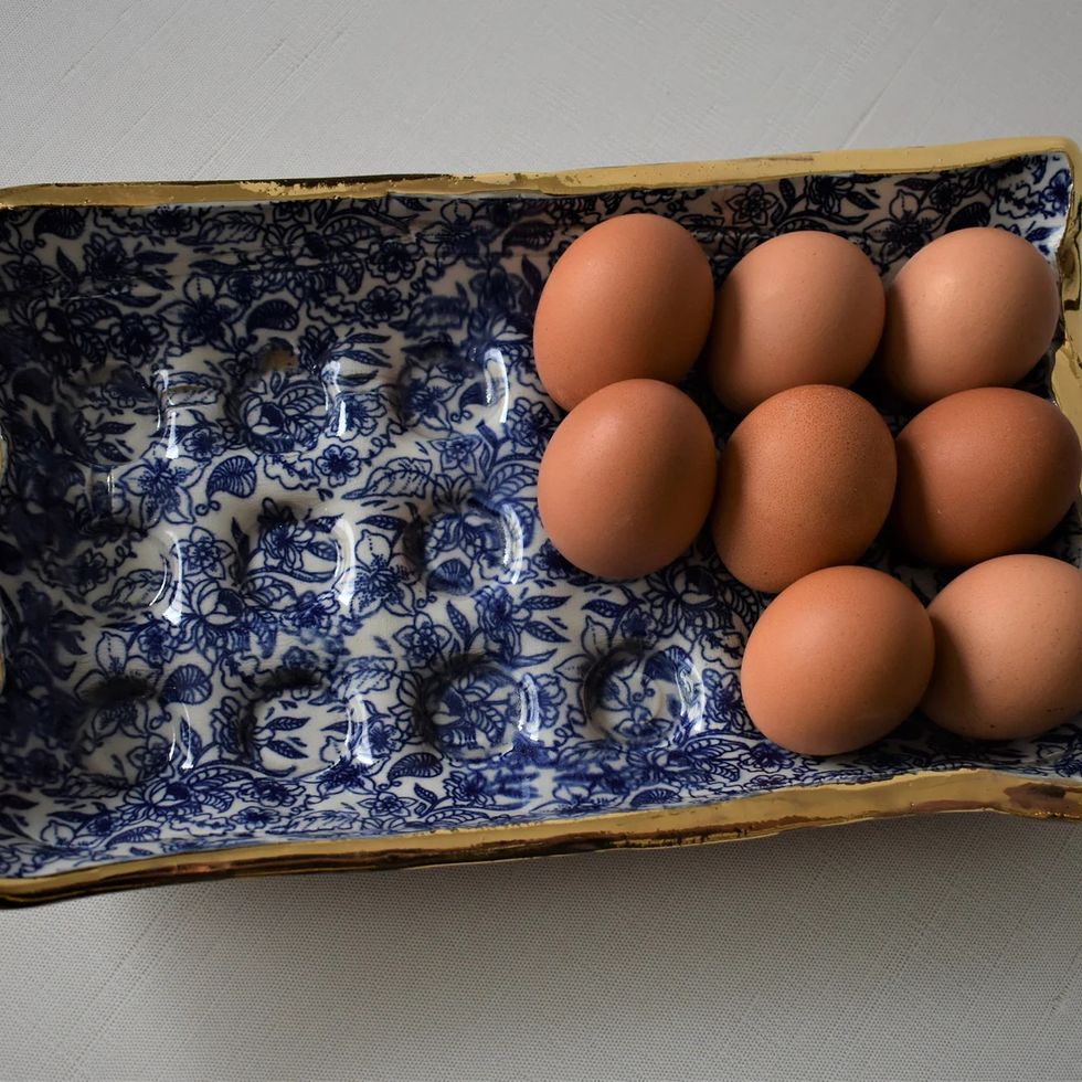 Best Ceramic Egg Trays 2022: Shop Nicole Richie's Pick From
