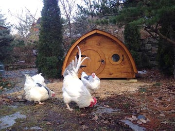 chicken coop hobbit home etsy