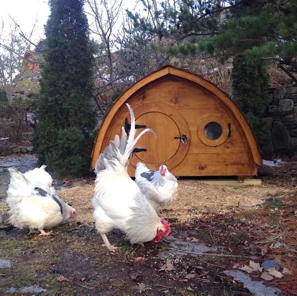 chicken coop hobbit home etsy