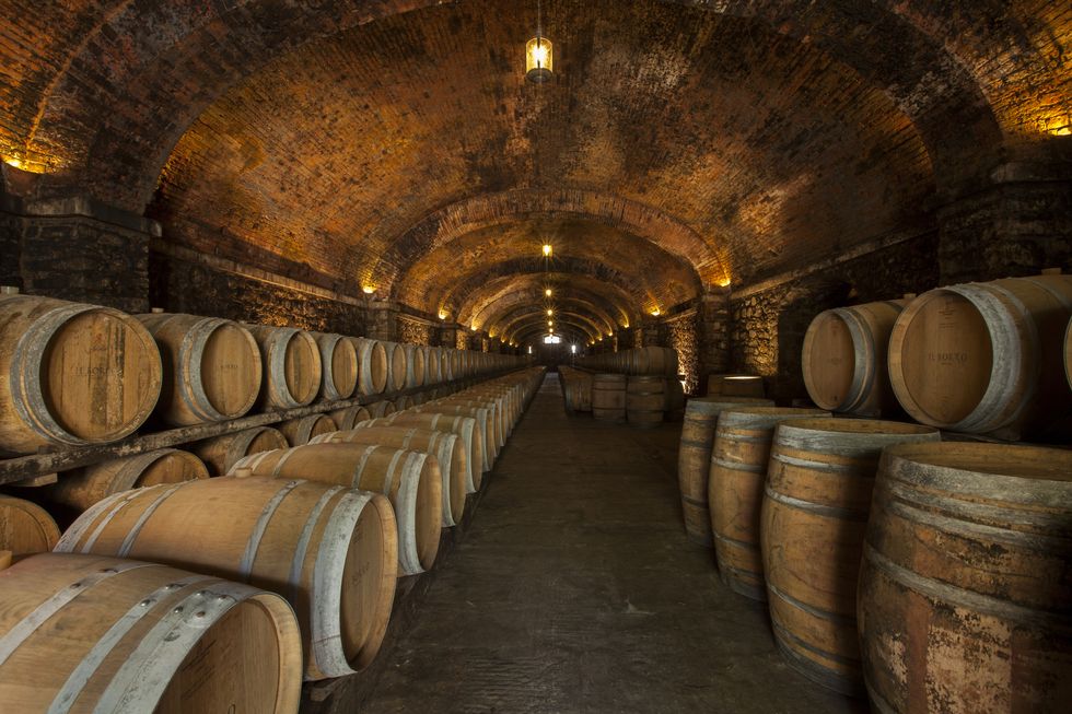 Barrel, Winery, Wine cellar, Basement, 