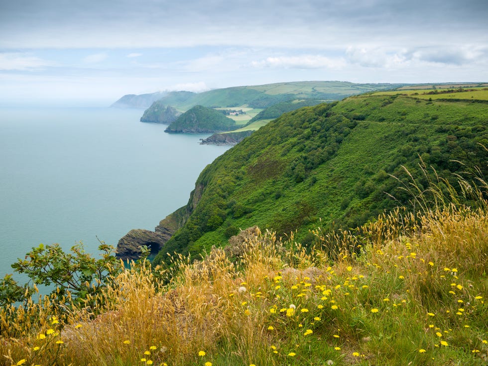 view over wringapeak to valley of the rocks and foreland point from the upper coast path between heddon’s mouth and woody bay in exmoor national park