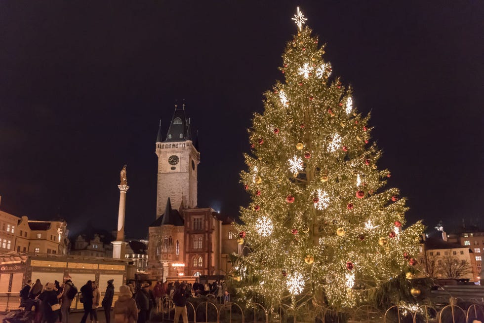 illuminated christmas tree seen a