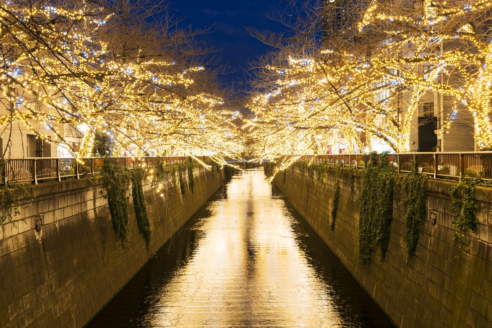 illuminated rows of cherry trees surround the meguro river during the christmas season at dusk, which millions of led lights reflect to river from both side of riverbank at meguro tokyo japan on december 19 2017