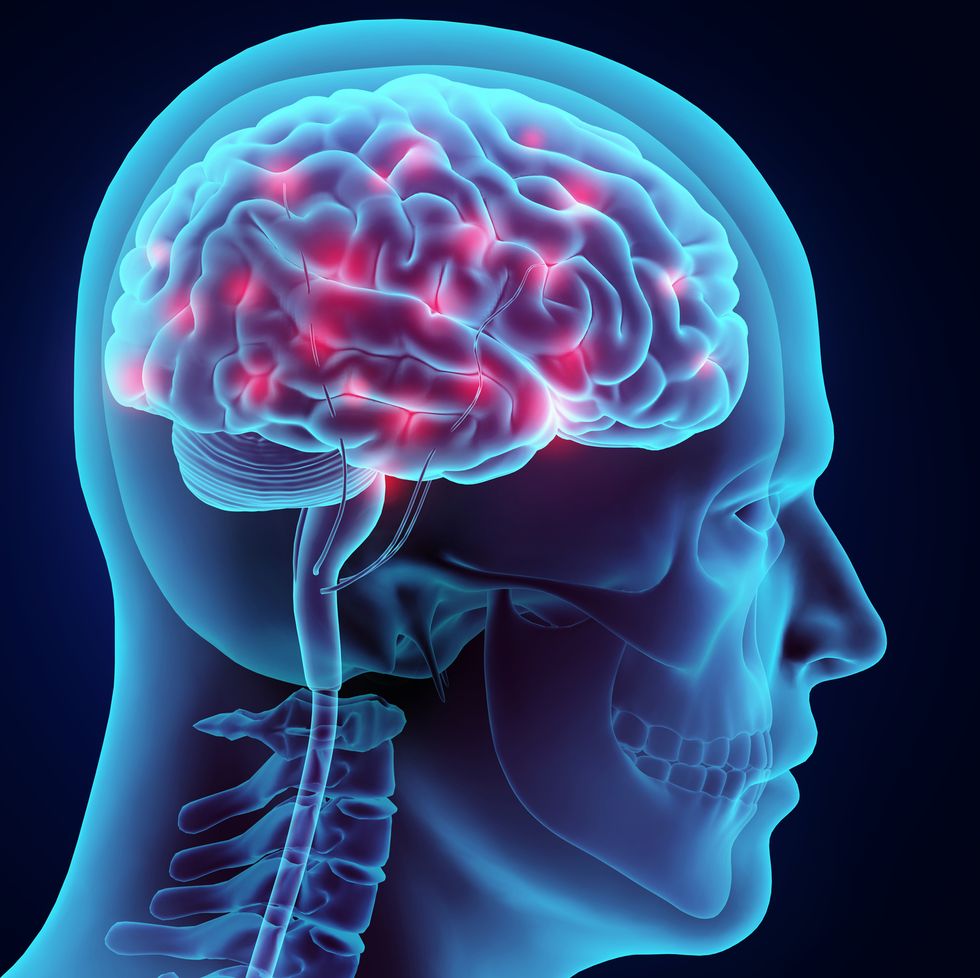 Brain nerve. Головной мозг. Нервная система человека головной мозг. Мозг человека центрального.