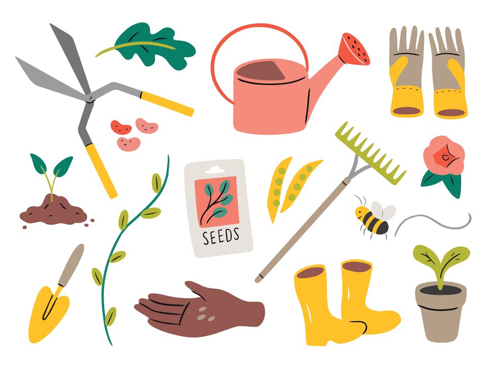 illustration of gardening tools
