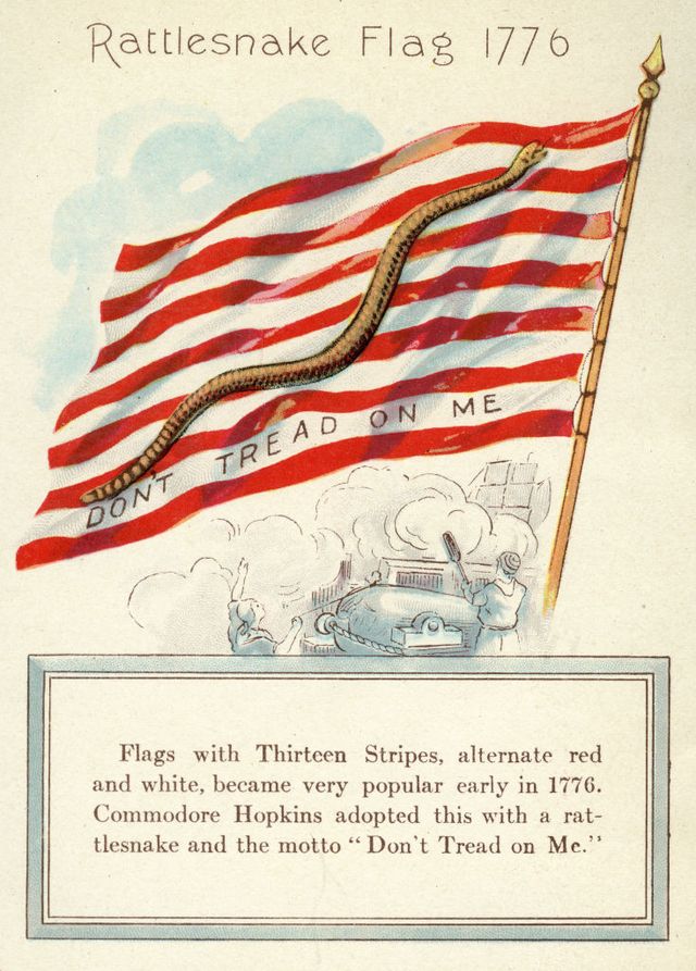 'rattlesnake flag 1776'