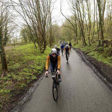 fietsers in een bos