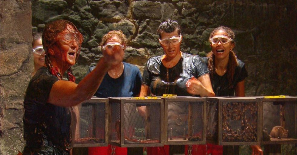 i'm a celeb faces backlash as reports say celebrities are shown how to do trials before filming them