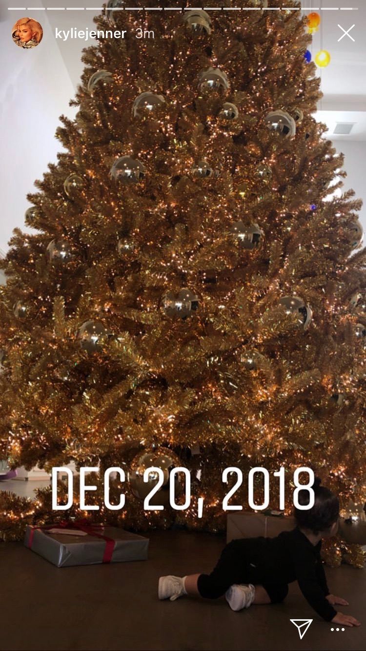 Christmas tree, Tree, Colorado spruce, Christmas decoration, Christmas ornament, Christmas, Woody plant, Spruce, oregon pine, Conifer, 