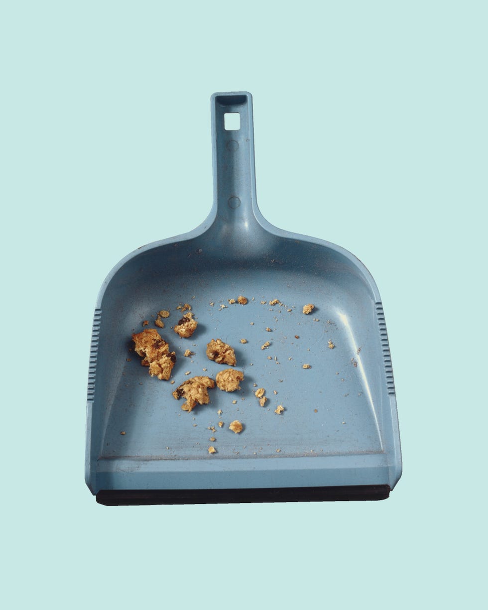 dust pan with food