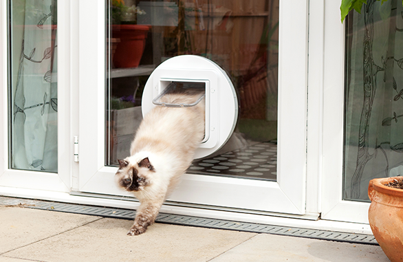 Cheap door with cat hot sale flap