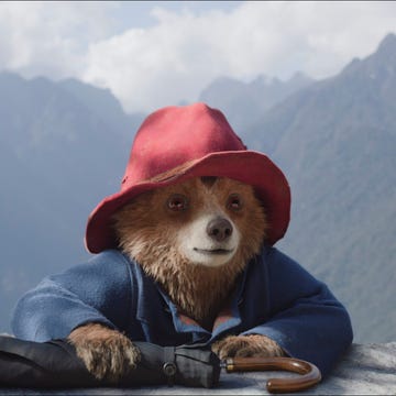 paddington 3 paddington bear in paddington in peru film