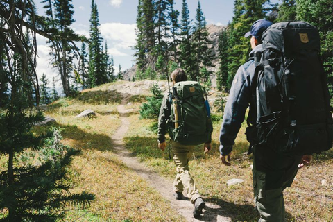 Backpacking, Wilderness, Hiking, Adventure, Tree, Recreation, Trail, Walking, Forest, Plant, 