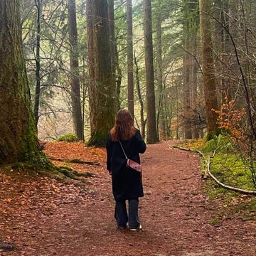 person walking on a forest path surrounded by trees and autumn foliage