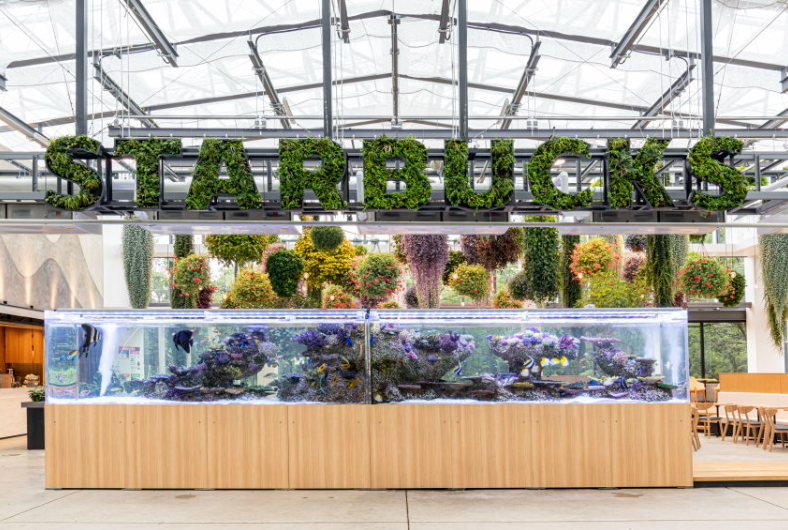 a glass display case with plants