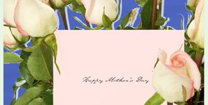 Flower, Petal, Plant, Flowering plant, Tulip, Greeting card, 