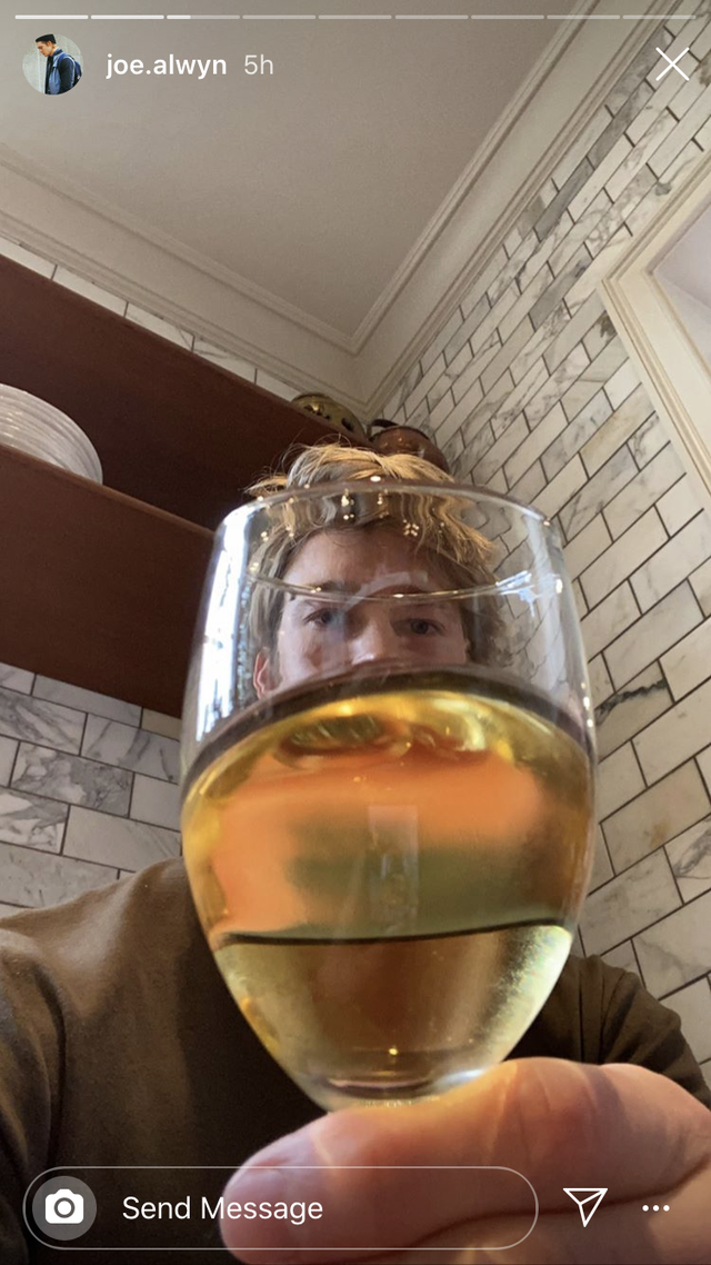 joe alwyn with a glass of wine
