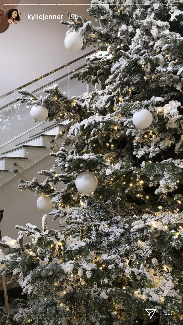 Lighting, Branch, Tree, Christmas tree, Christmas, Christmas ornament, Interior design, Sphere, Winter, Plant, 