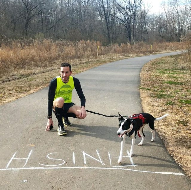 Leash, Dog, Canidae, Dog walking, Cani cross, Walking, Dog breed, Sporting Group, Carnivore, Hound trailing, 